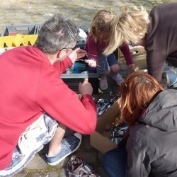 Koala 166 - Scouts en Gidsen Zaventem 